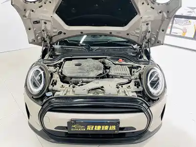 MINI MINI 2021