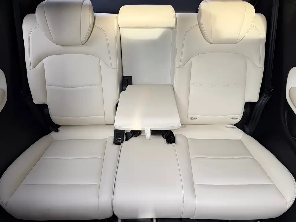 GAC Motor Trumpchi M8 2023 — фото 12