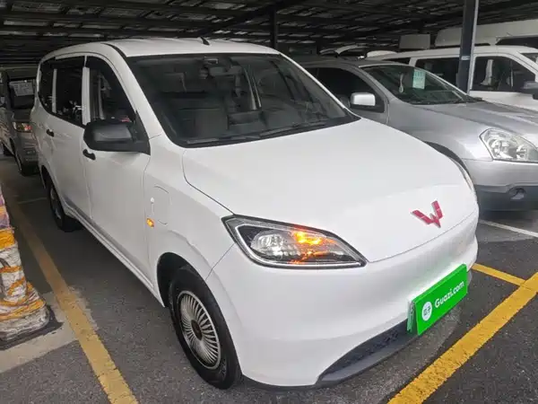 Wuling Hongguang New Energy 2024