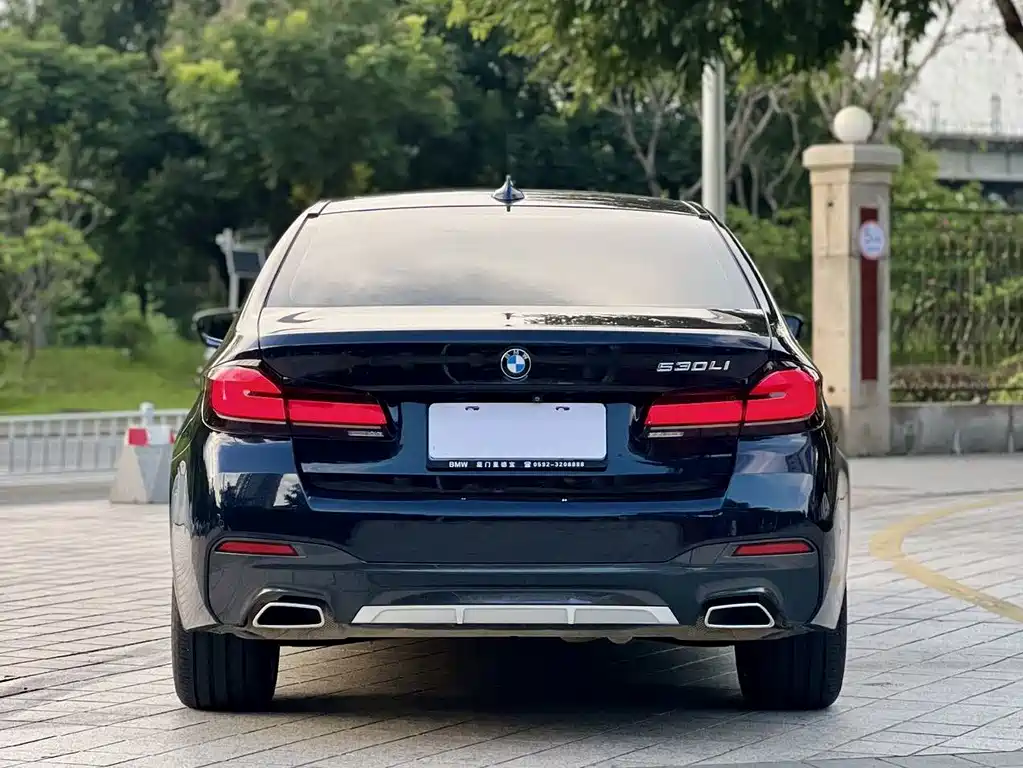 BMW 5 Series 2021
