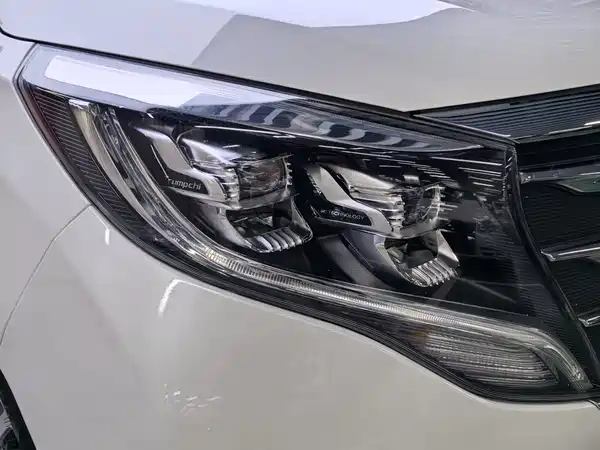 GAC Trumpchi M8 2019