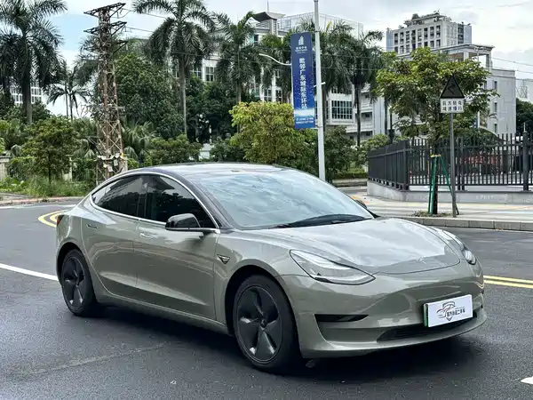 Tesla Model 3 2020