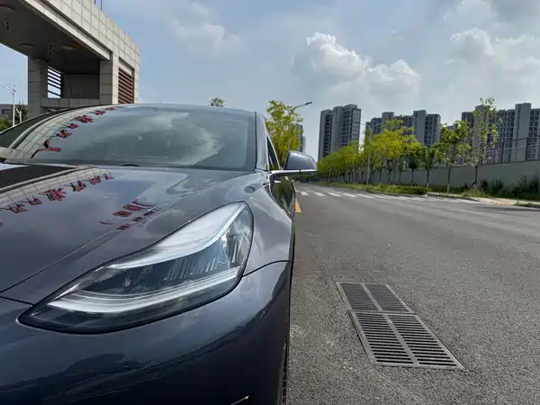 Tesla Model 3 2019