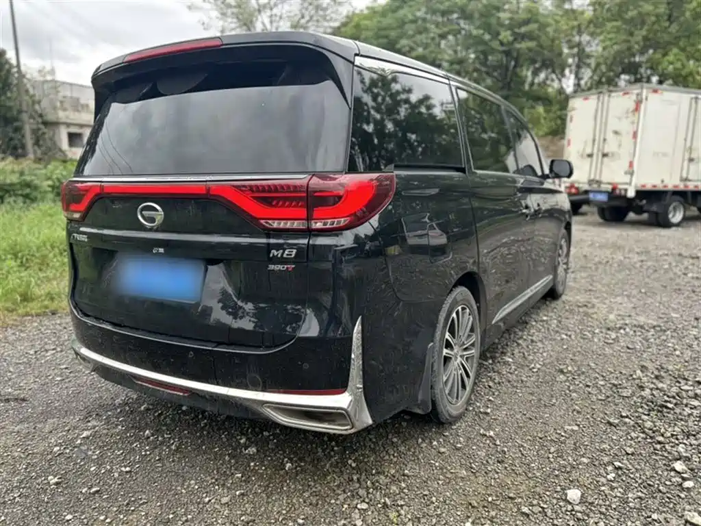 GAC Motor Trumpchi M8 2022 — фото 12