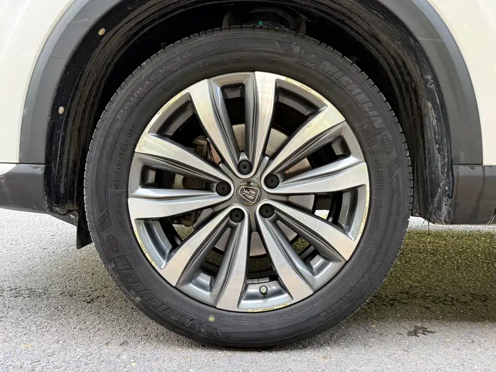 Roewe RX5 MAX 2020 — фото 21