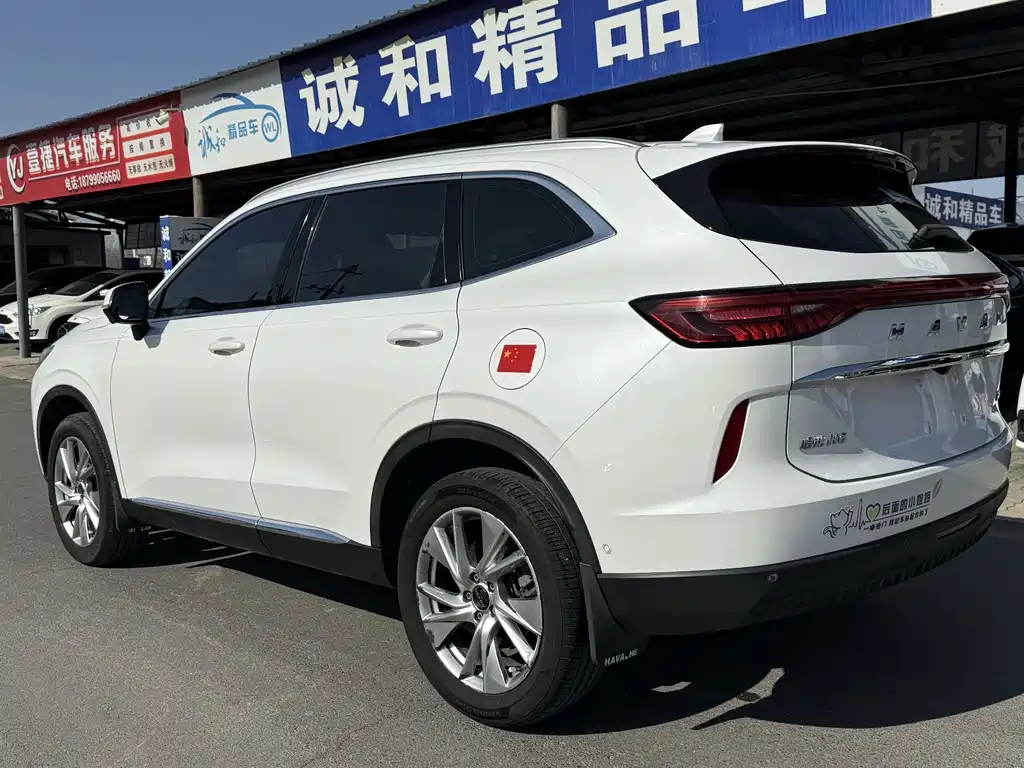 Haval H6 2021 — фото 9