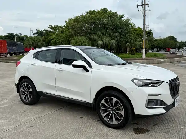 Haval F5 2019