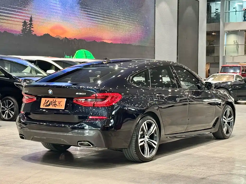 BMW 6 Series GT 2023 — фото 14