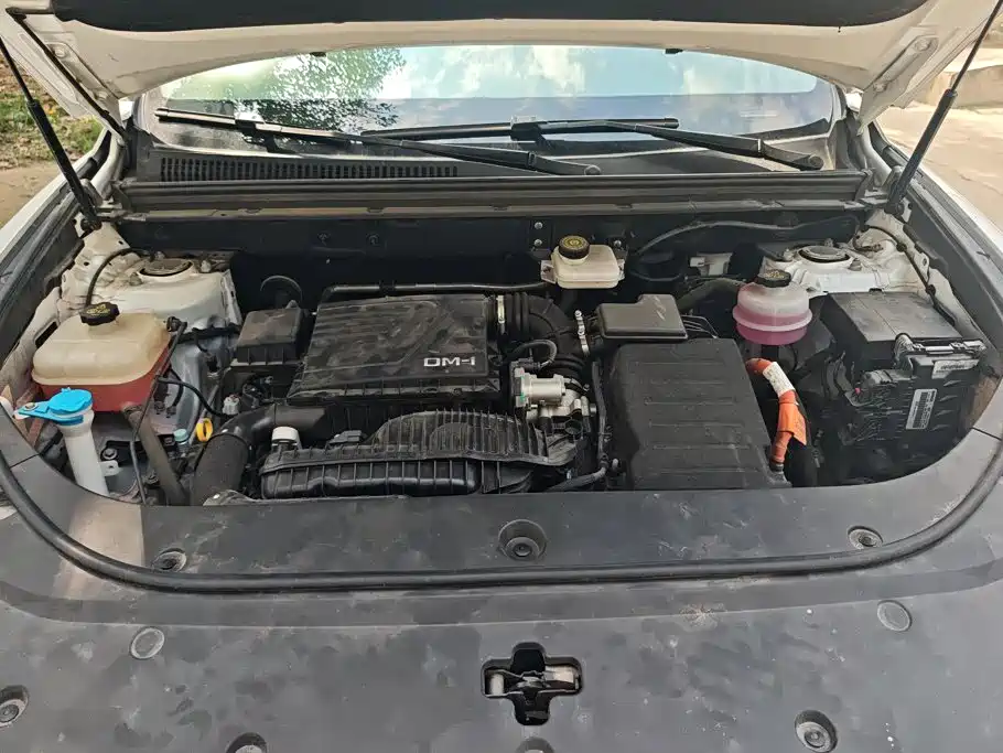 BYD Song Pro New Energy 2024 — фото 10