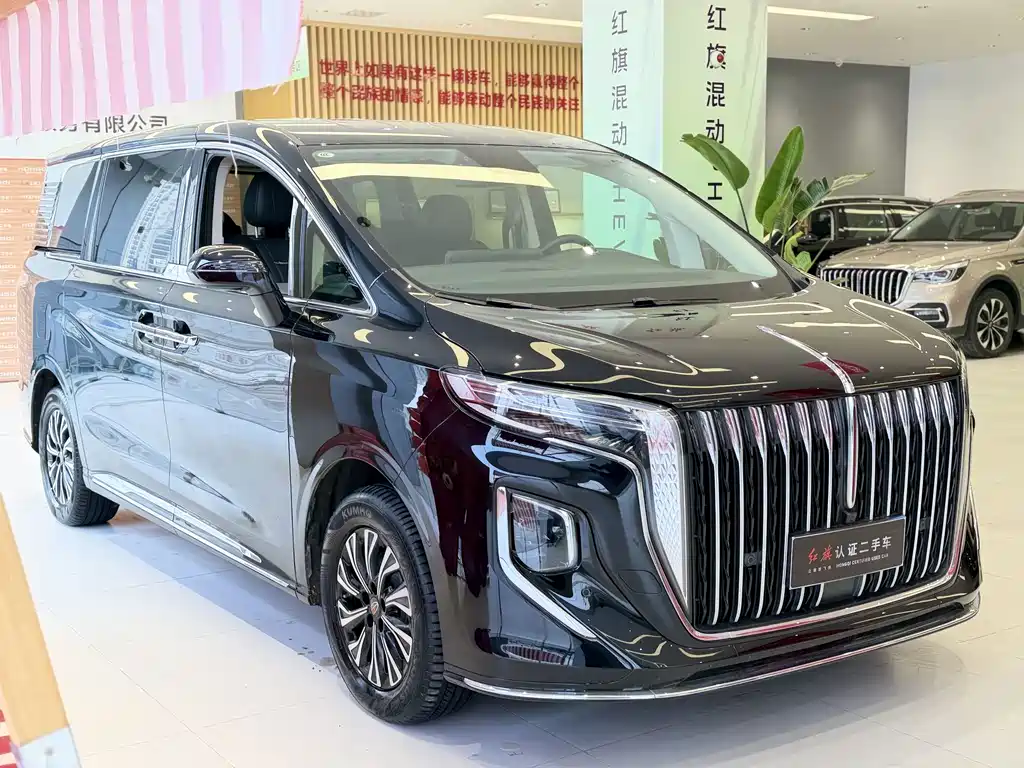 Hongqi HQ9 PHEV 2024 — фото 8