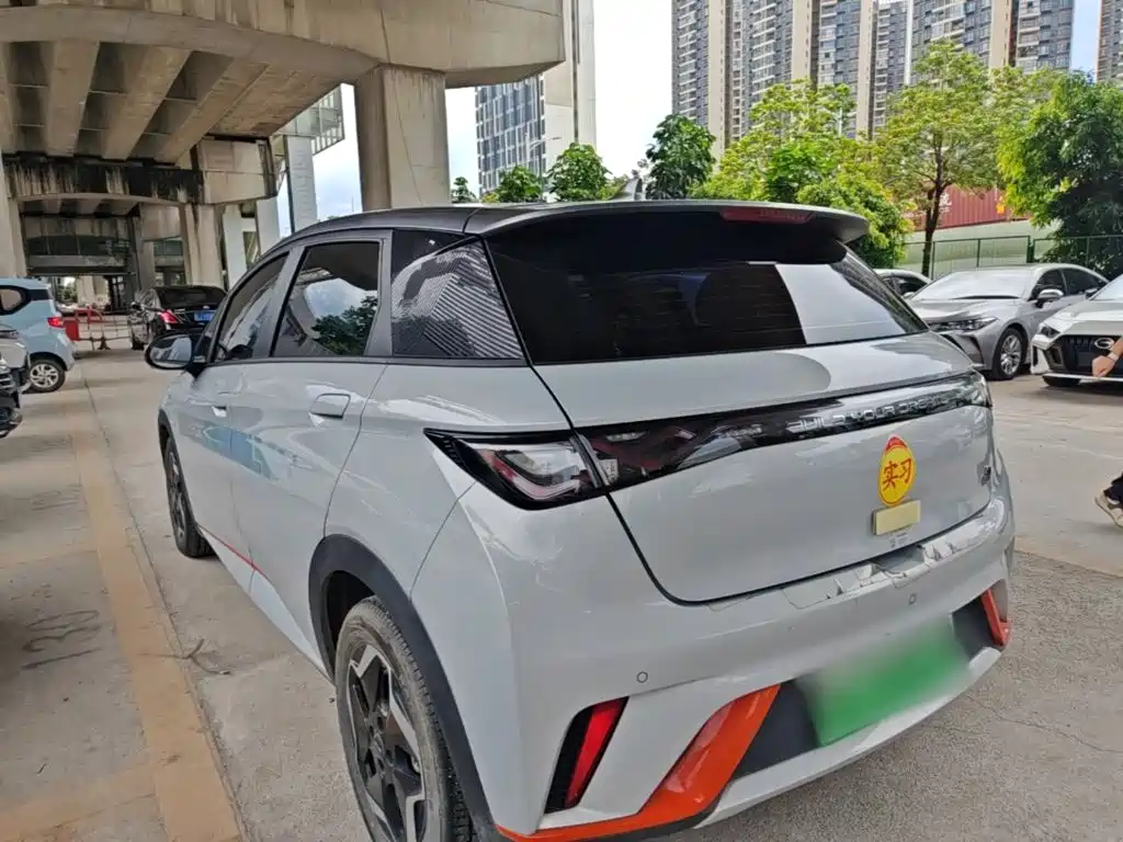BYD Dolphin 2021