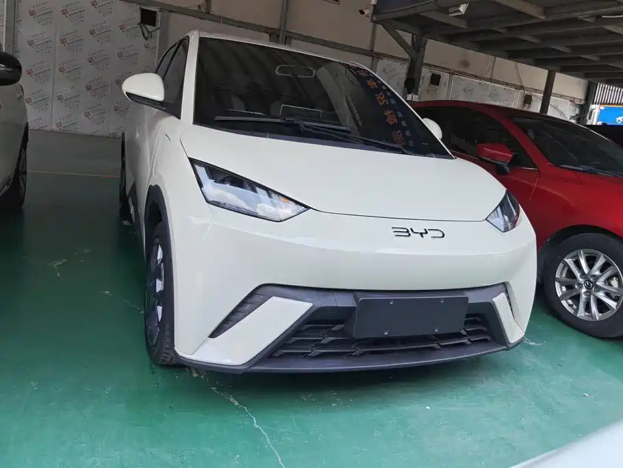BYD Seagull 2024