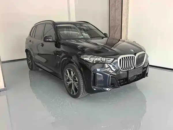 BMW X5 2024
