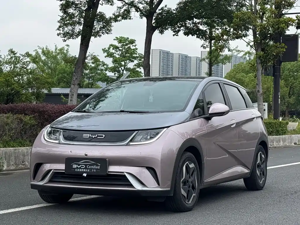BYD Dolphin 2022 — фото 1