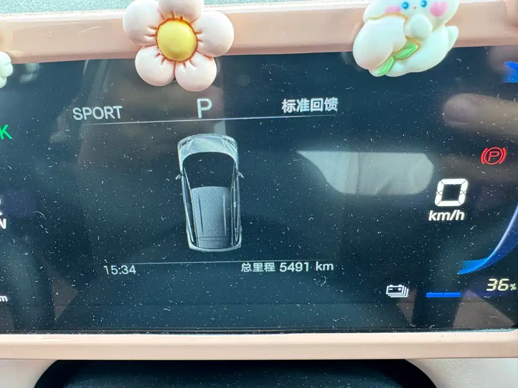 BYD Seagull 2025