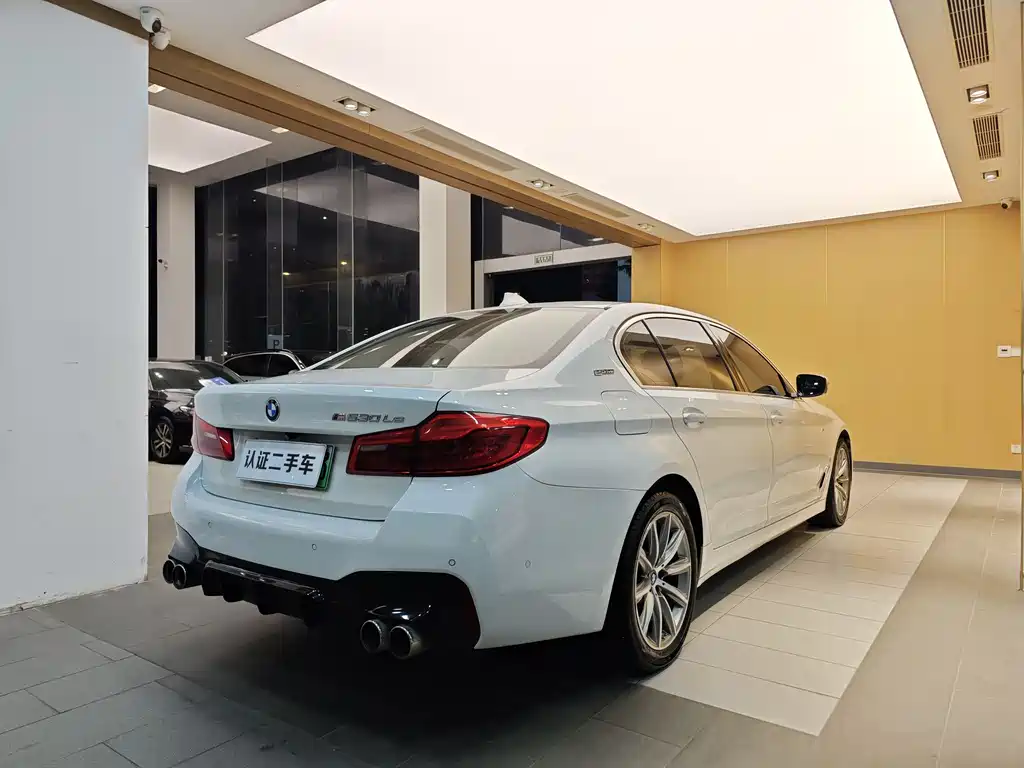 BMW 5 Series New Energy 2018 — фото 33