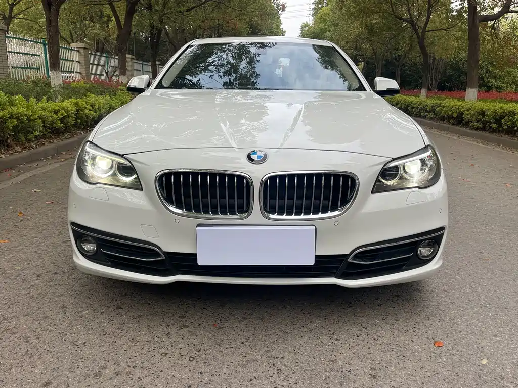 BMW 5 Series 2014 — фото 2