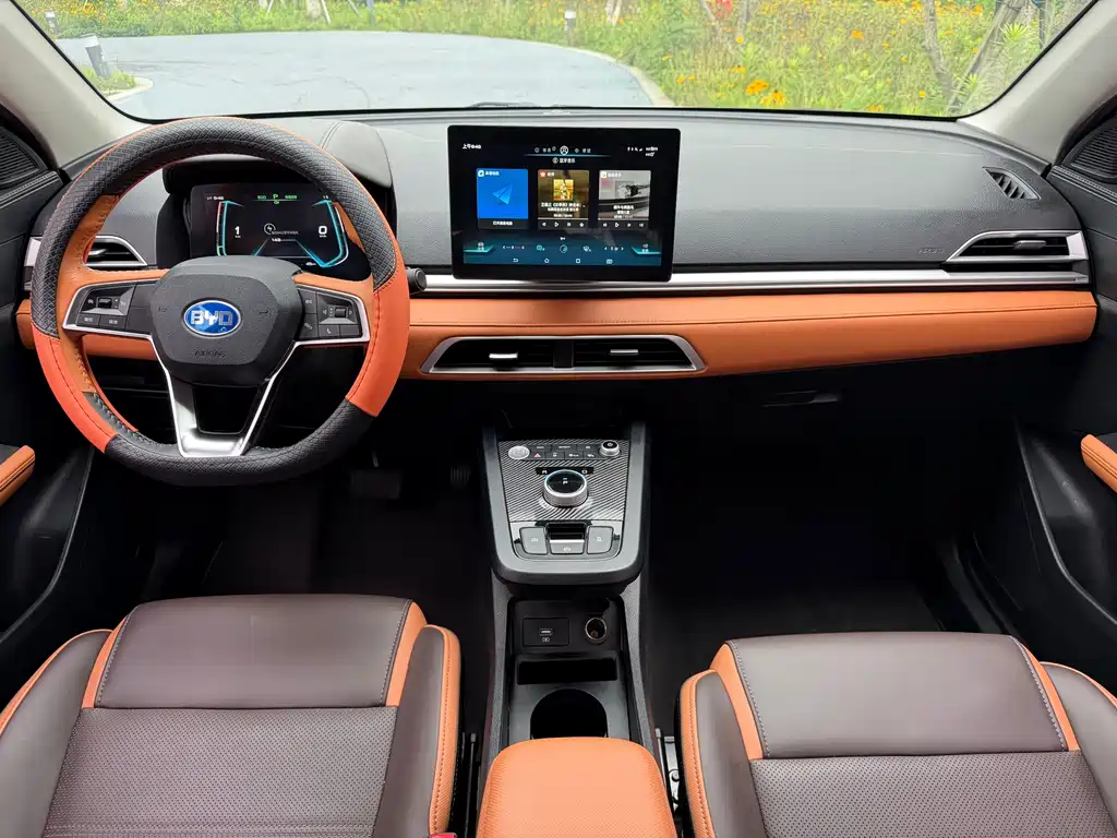 BYD e2 2020