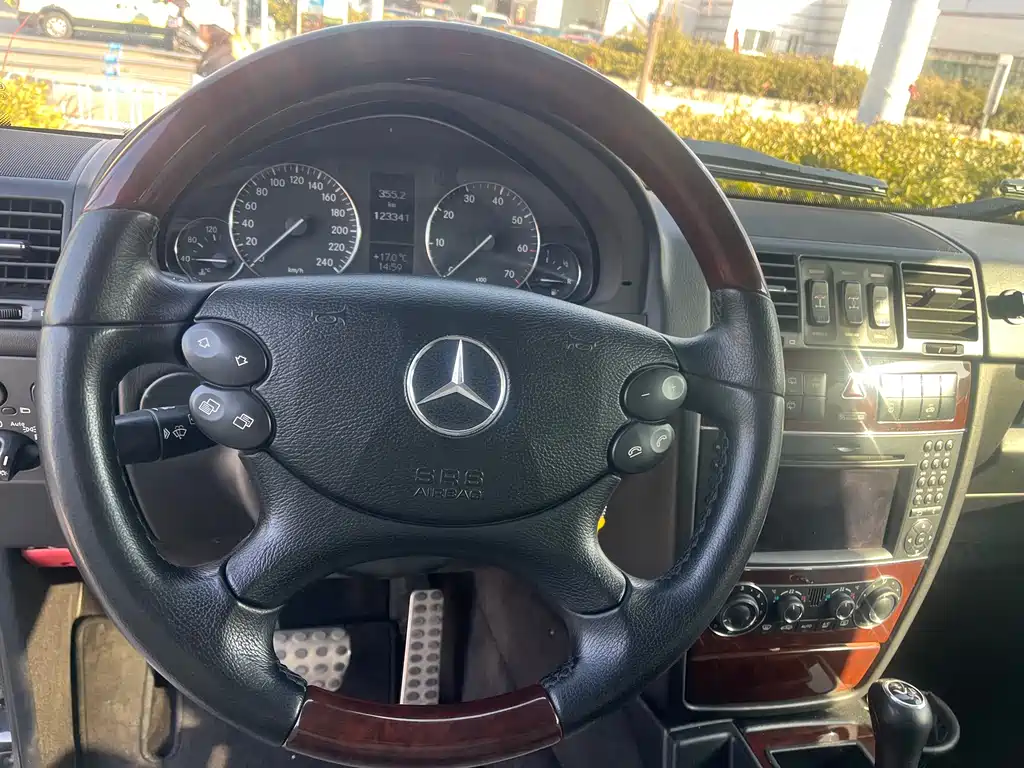 Mercedes-Benz G-Class 2010 — фото 10
