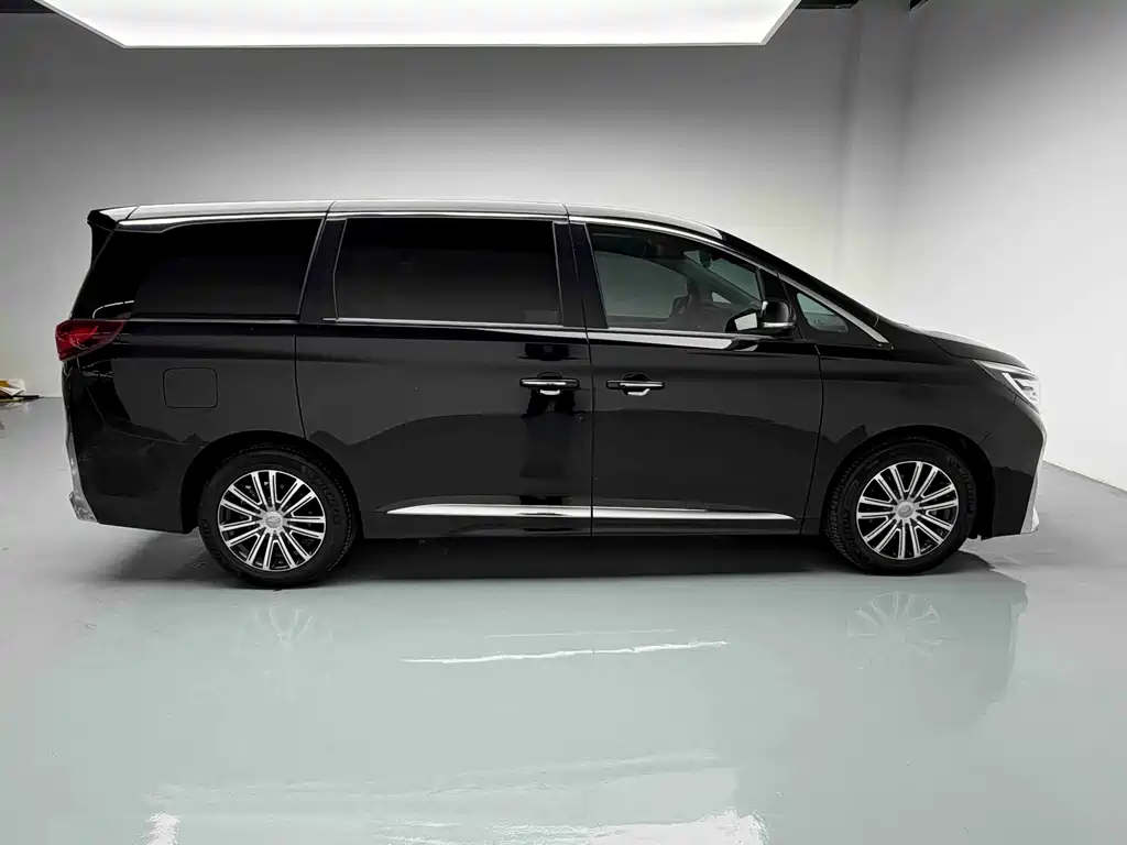 GAC Motor Trumpchi M8 2021 — фото 19