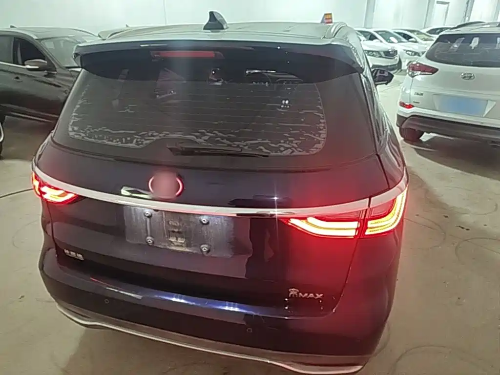 BYD MAX 2019