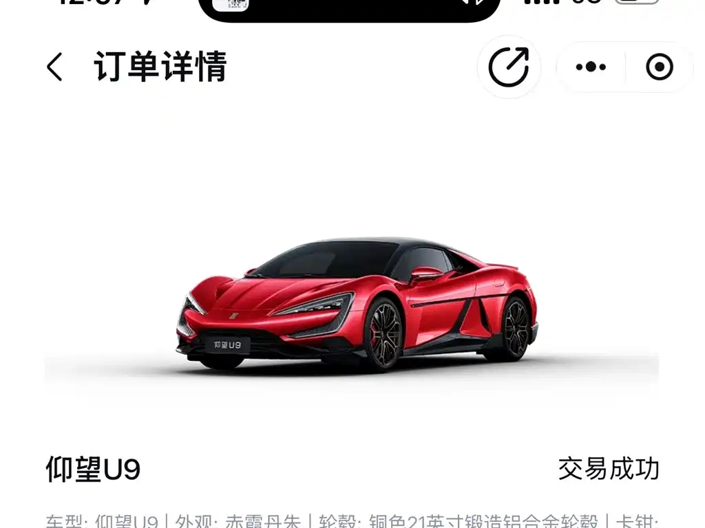 Yangwang U9 2025