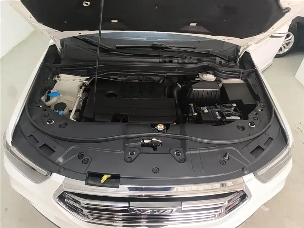 Haval H6 2020 — фото 16
