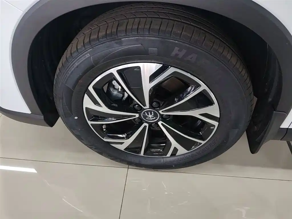 BYD Pro New Energy 2025 — фото 22