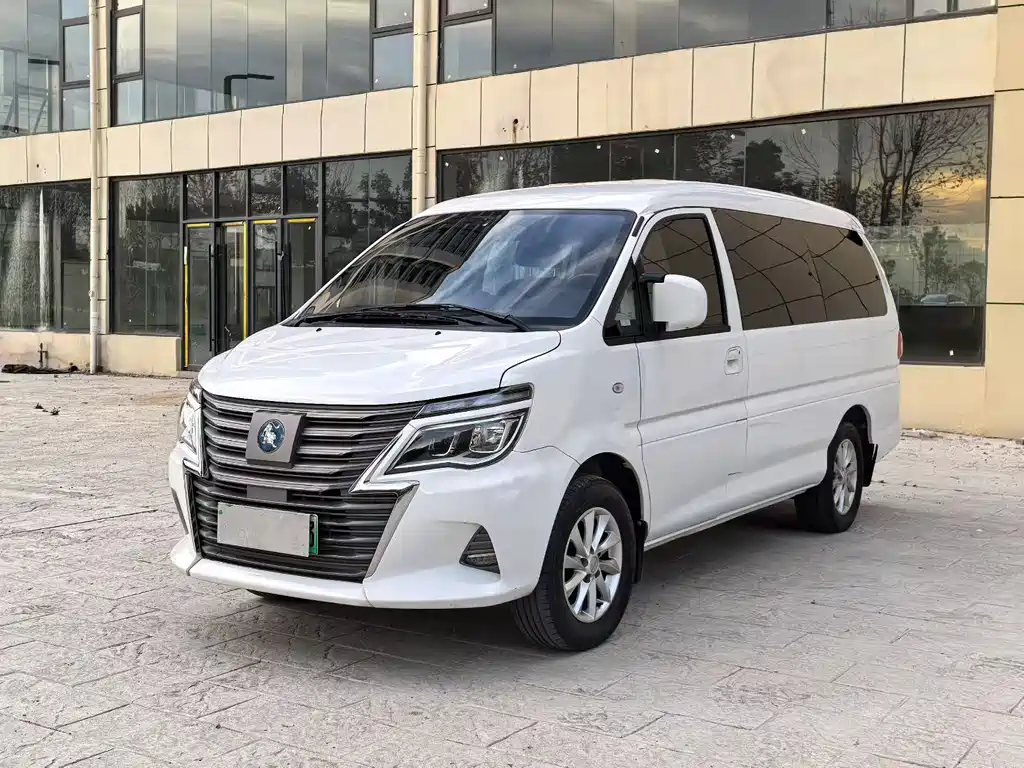 Fengxing Lingzhi New Energy 2022