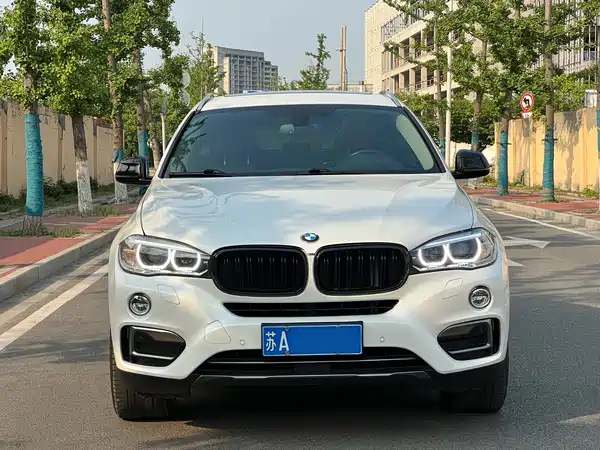 BMW X6 2019