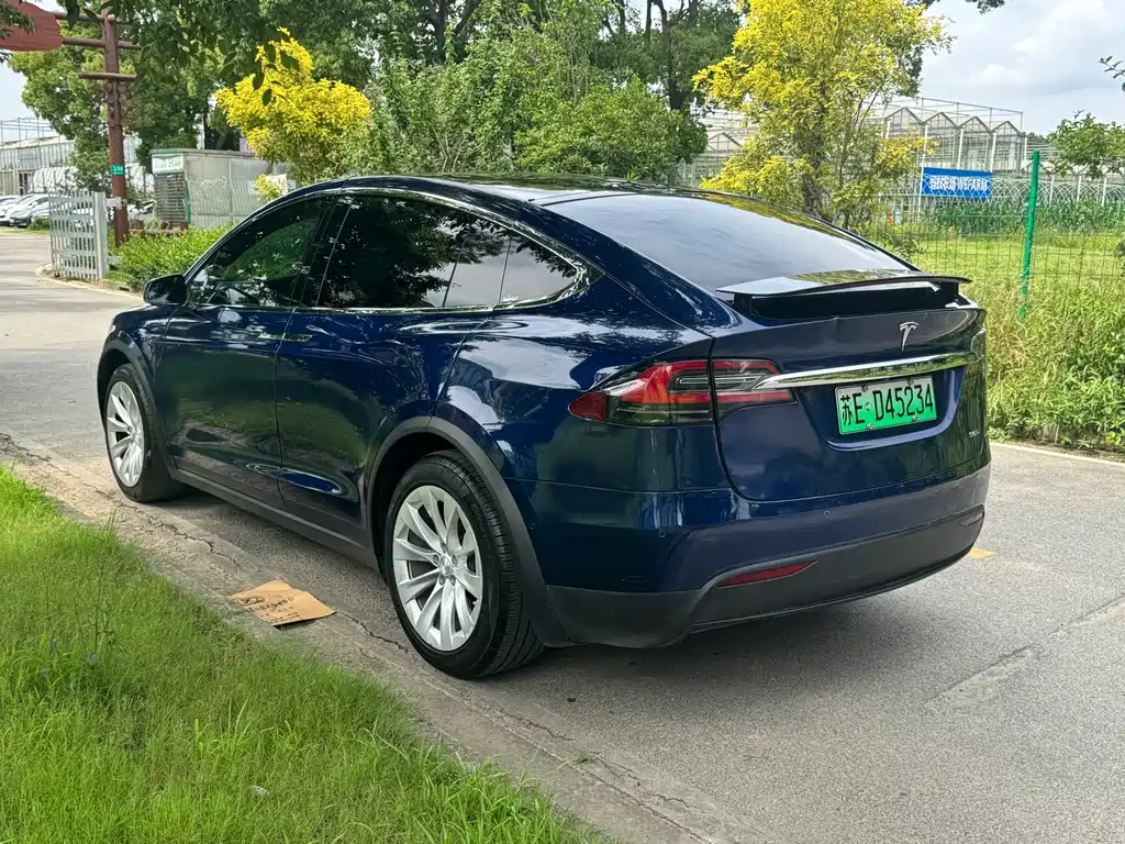 Tesla Model X 2016 — фото 5