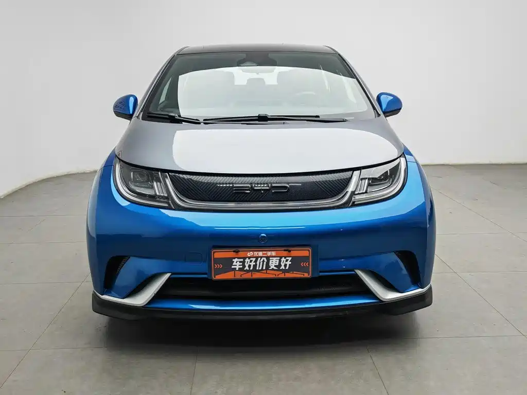 BYD Dolphin 2022