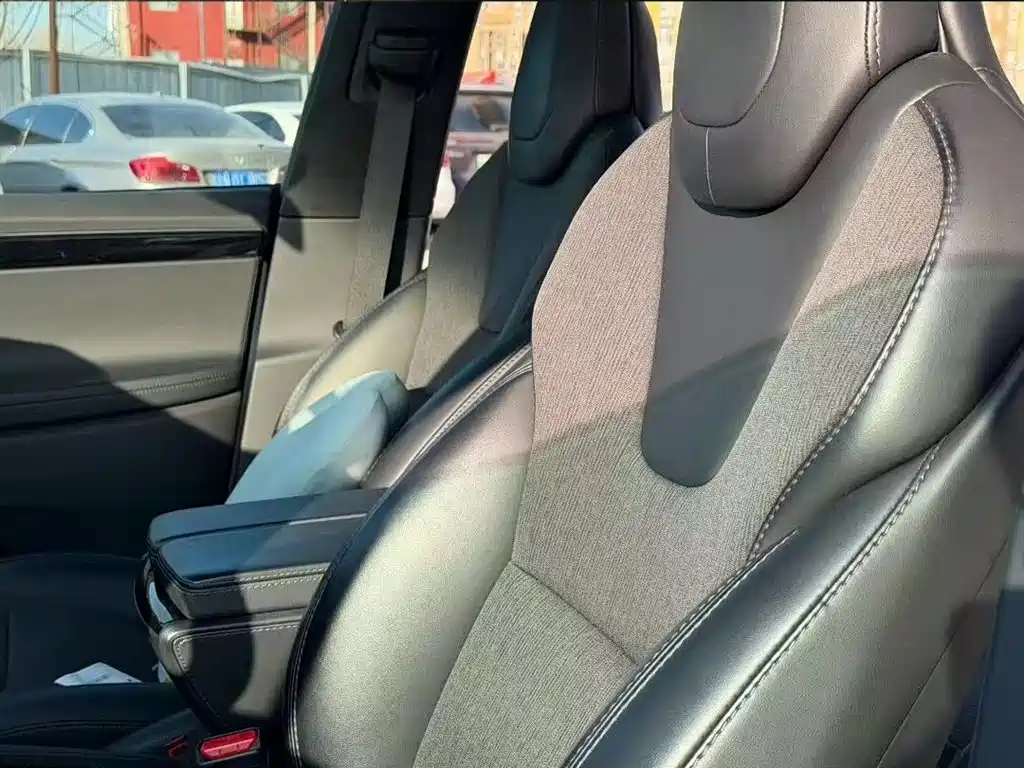 Tesla Model X 2019