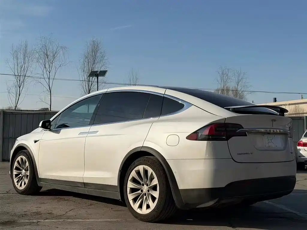 Tesla Model X 2019