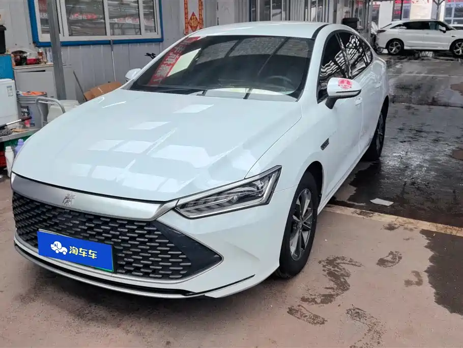 BYD Qin PLUS 2024 — фото 1
