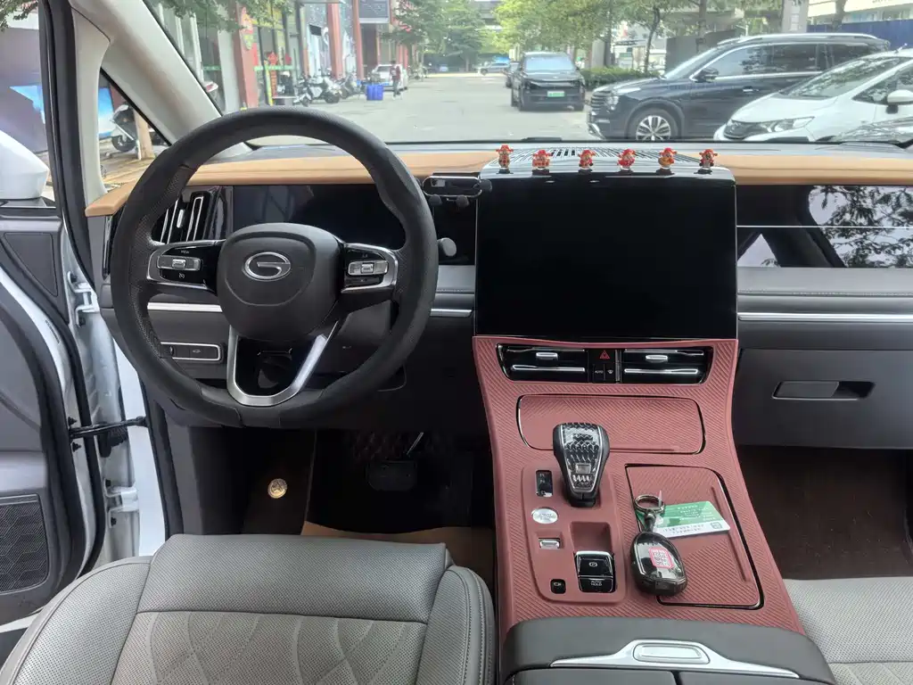 GAC Motor Trumpchi M8 2024 — фото 12