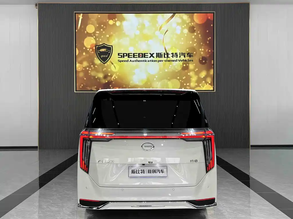 GAC Motor Trumpchi M8 2025 — фото 13