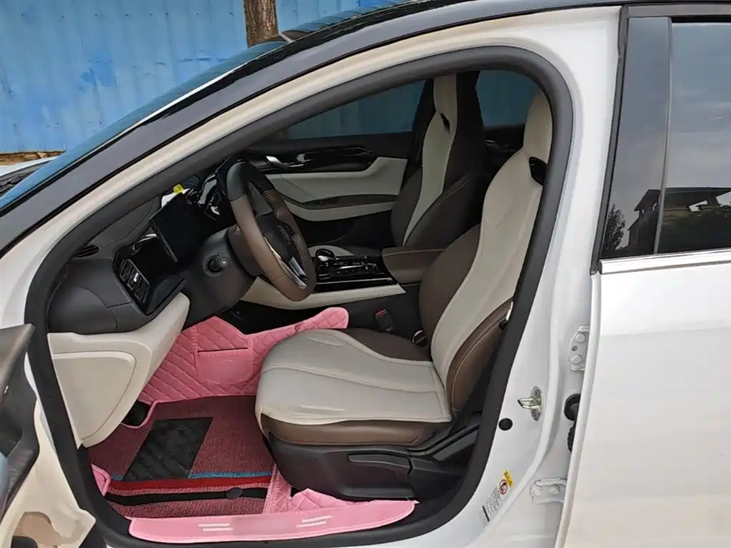 BYD Qin PLUS 2025 — фото 15