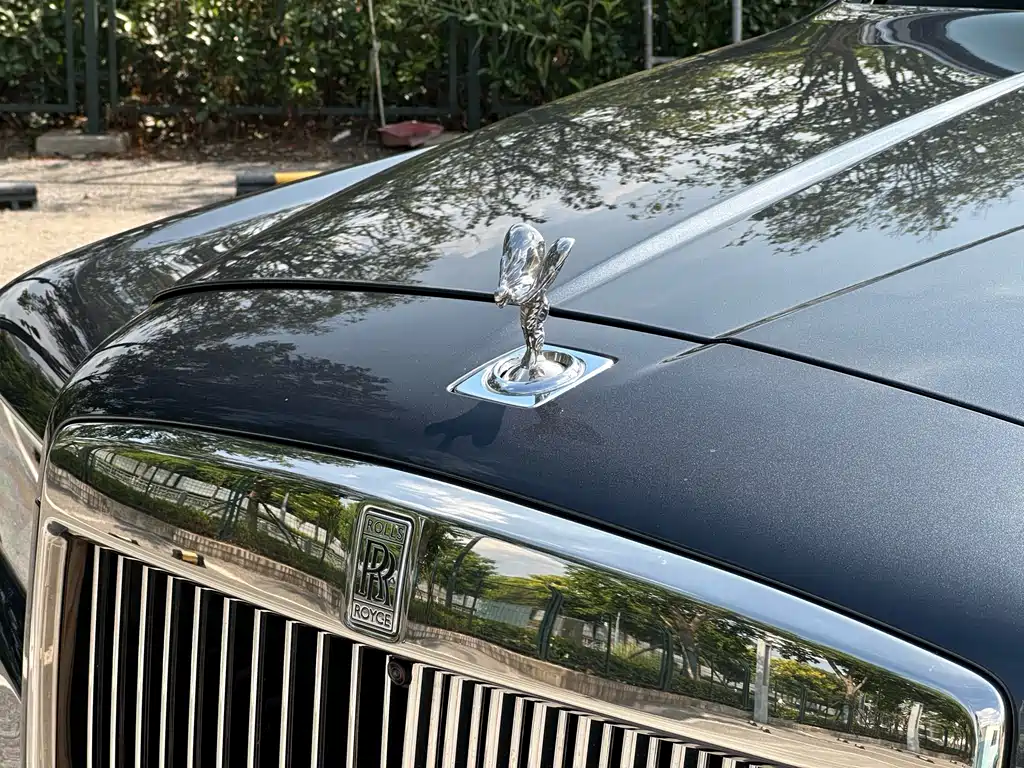 Rolls-Royce Cullinan 2019 — фото 10