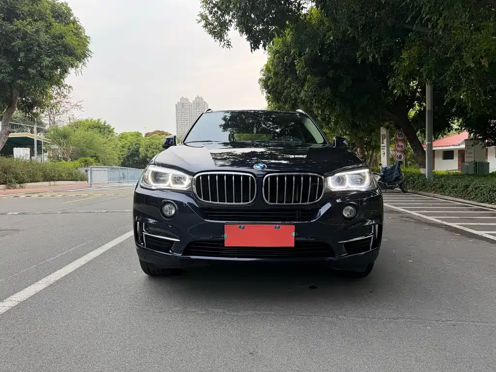 BMW X5 2017 — фото 2