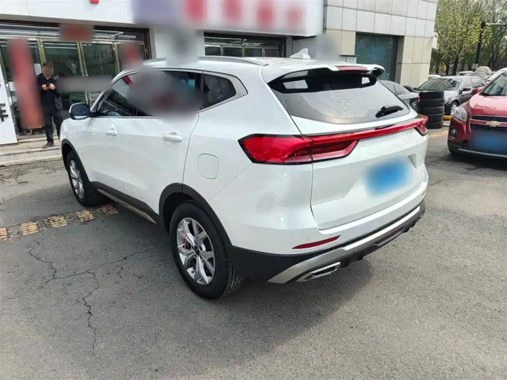 Haval H6 2021 — фото 11