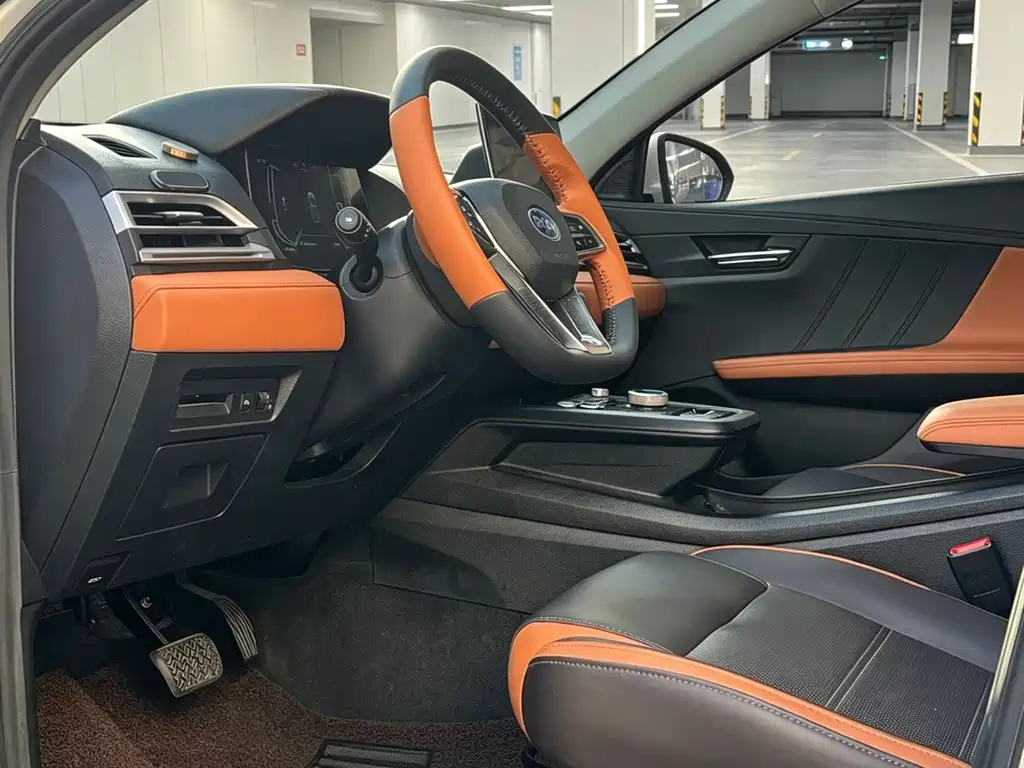 BYD e2 2020