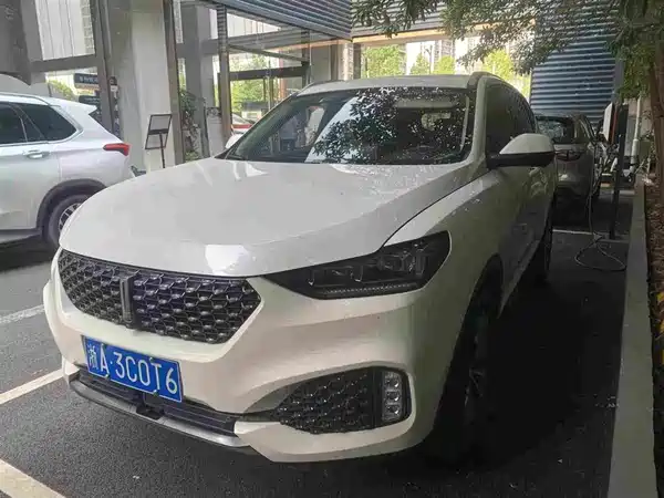 Wey VV6 2019