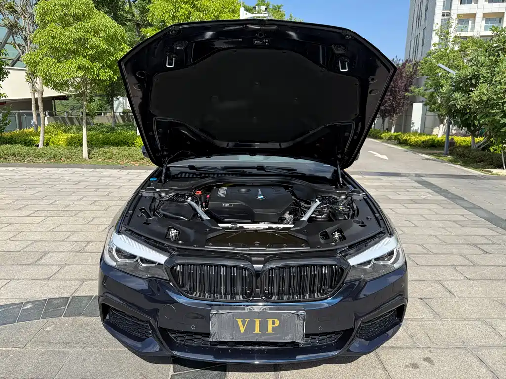 BMW 5 Series 2019 — фото 32