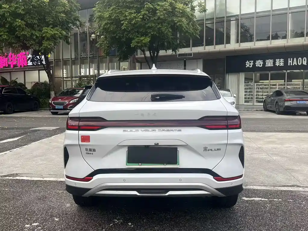 BYD PLUS New Energy 2023 — фото 15