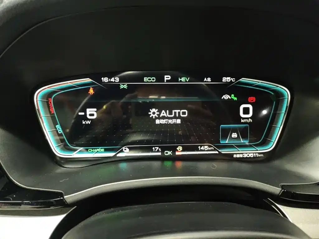 BYD PLUS New Energy 2022 — фото 12