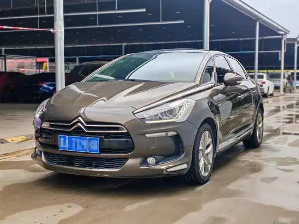 DS 5 2013