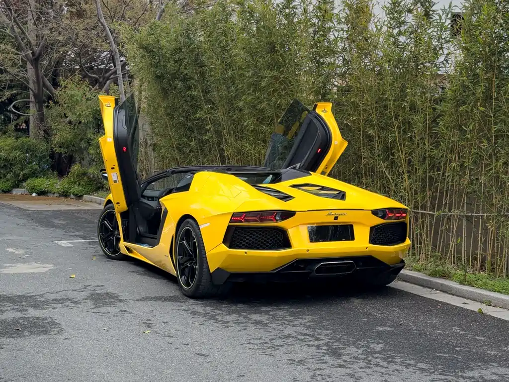 Lamborghini Aventador 2016 — фото 4