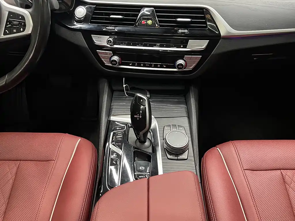 BMW 5 Series New Energy 2021