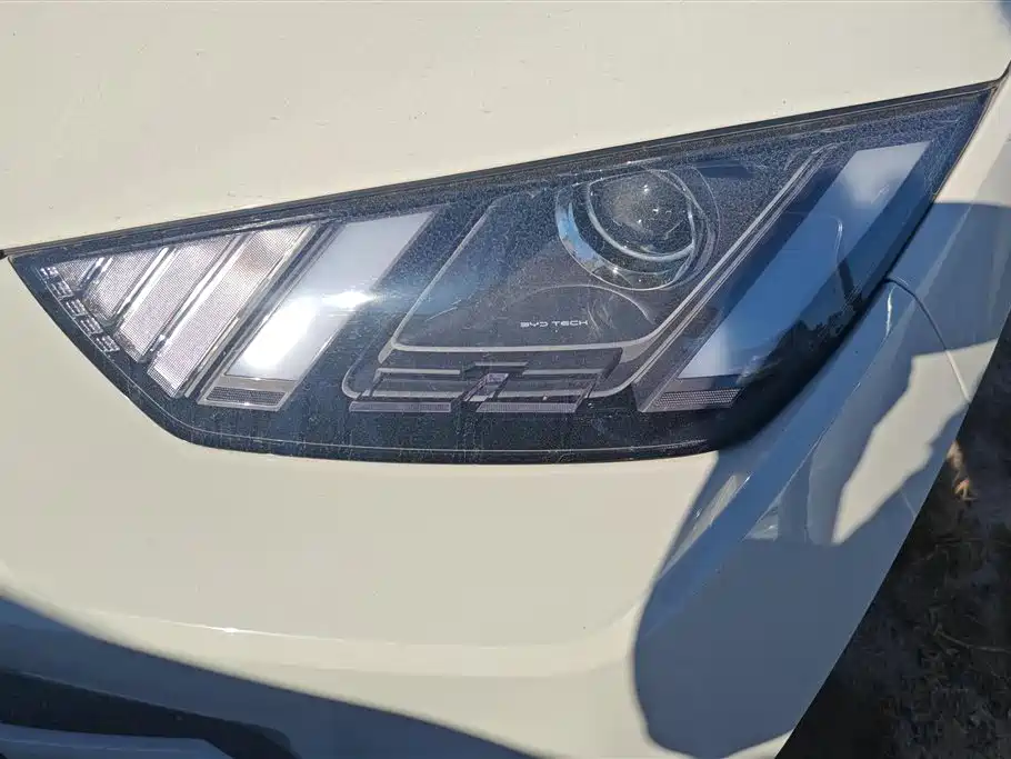 BYD Seagull 2024